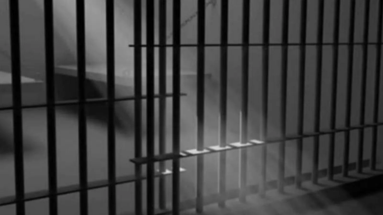 Bihar BJP MLA, his associate get 3-month jail in assault case