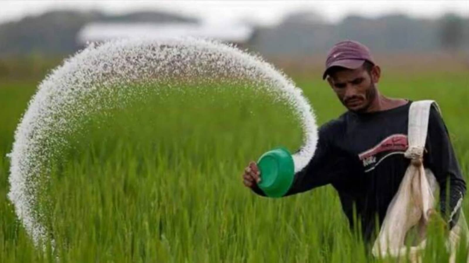 In Bihar crackdown on black marketing, 2,000 fertiliser bags seized, FIRs against 31 units, 83 licences cancelled
