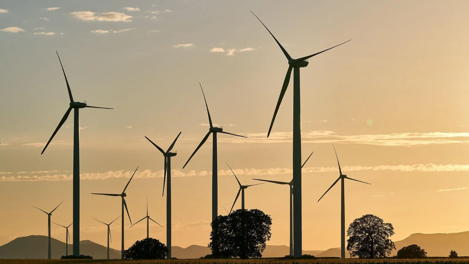 Bihar gets its largest-ever renewable energy investment